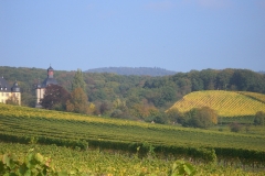 CIMG2356