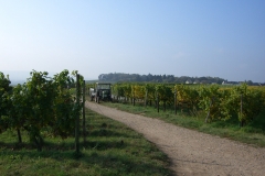 CIMG2377