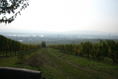 CIMG2380