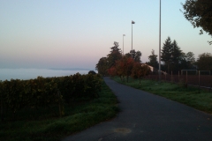 IMAGE_036