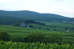 P1000643