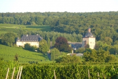 P1000786