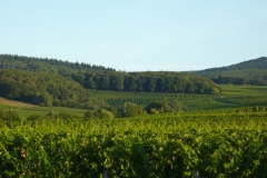 P1000789