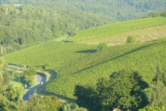 P1000841