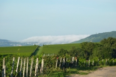 P1000851