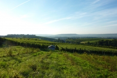 P1000860