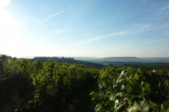 P1000863