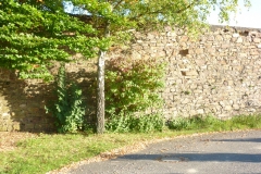 P1000957