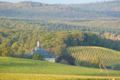 P1000981